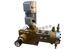 J-XM 液压隔膜式计量泵